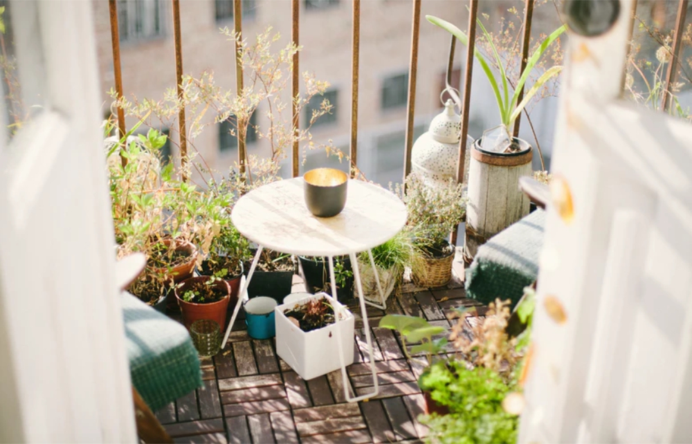 6 Ideas para un espacio verde en casa
