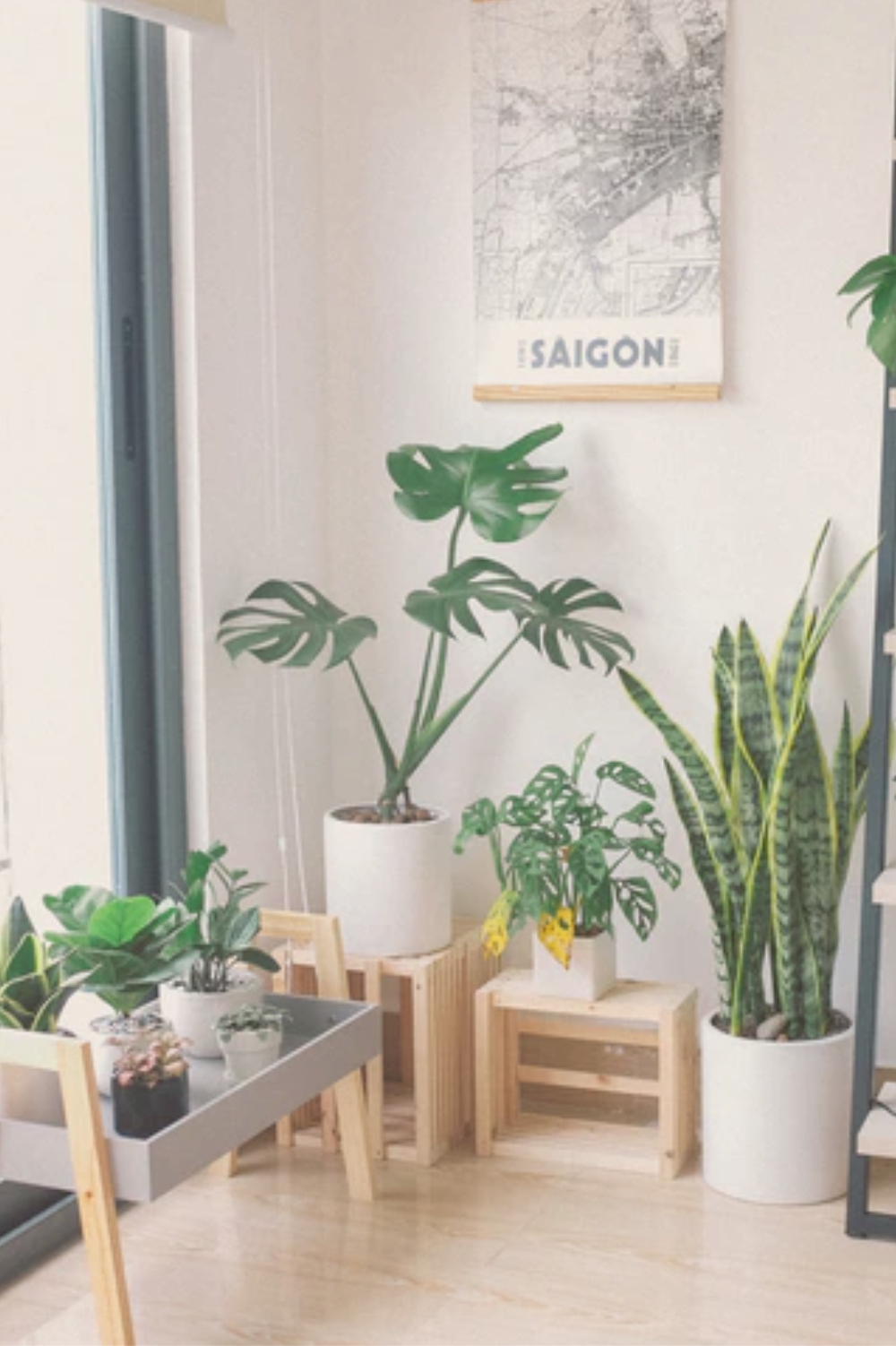 6 Ideas para un espacio verde en casa