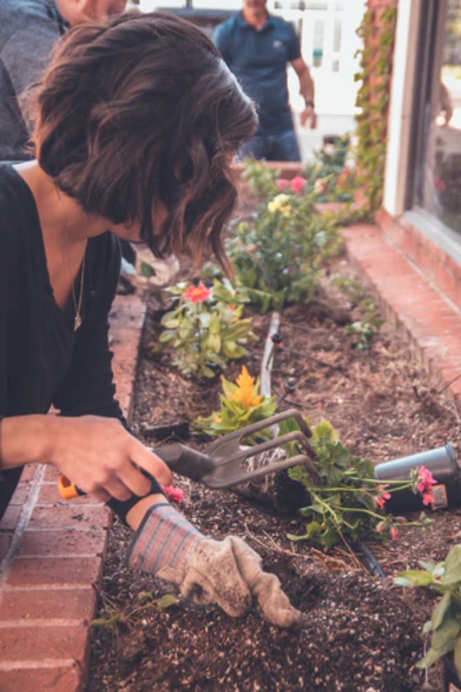 “Desperdicio Cero” para aplicar en tu casa (Zero Waste)