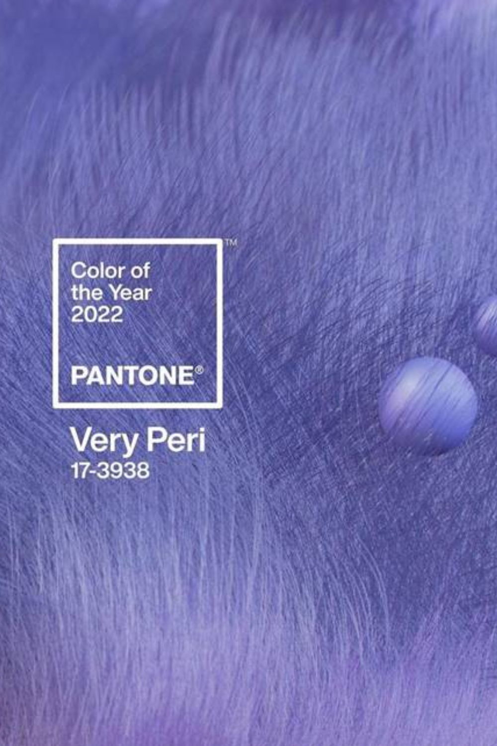 Lo que debes saber sobre el Color del año 2022: “Very Peri”